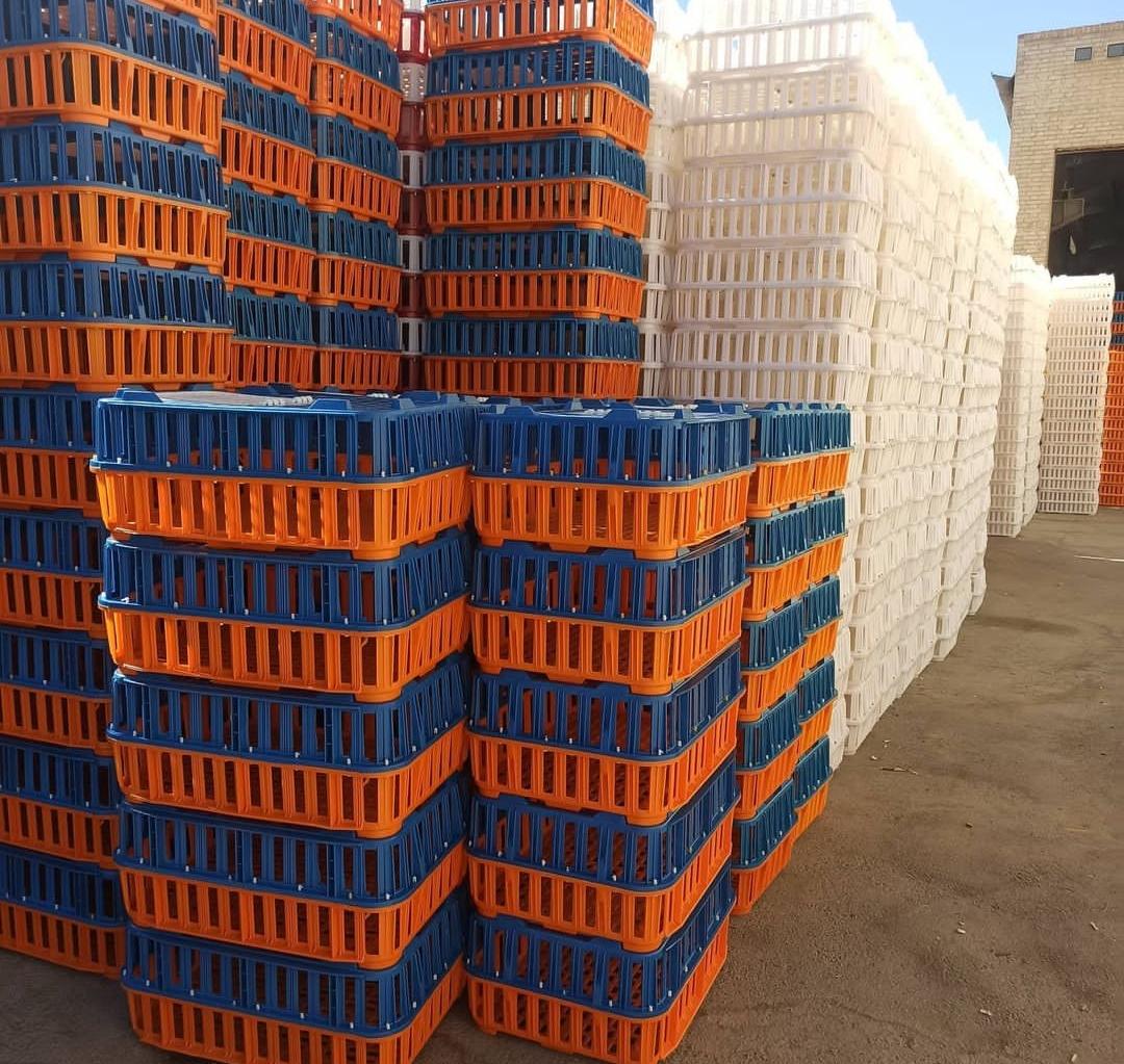 طول عمر بالا