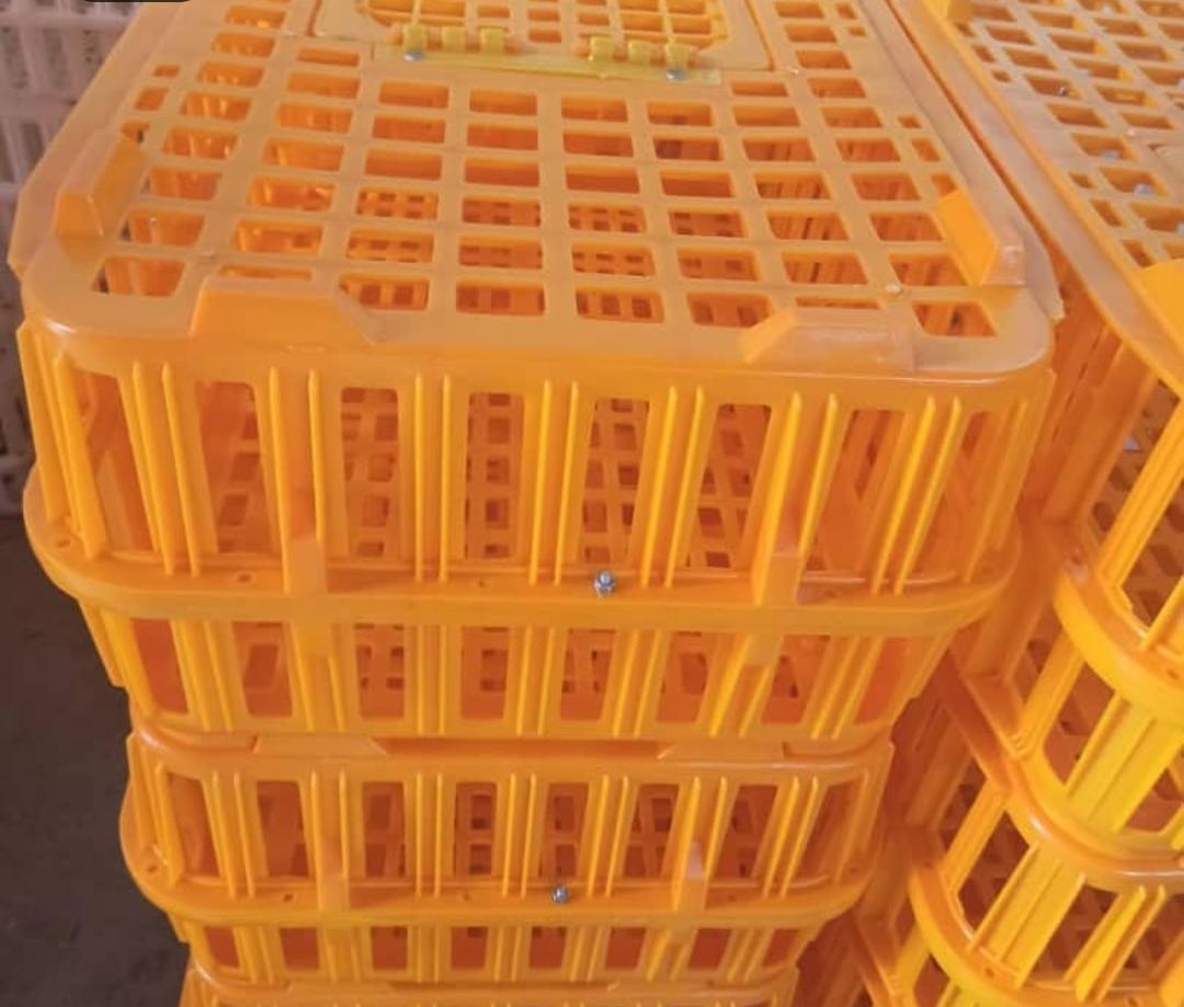 کیفیت تضمینی